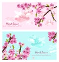 Cherry flowers cards Vector. Spring layer background decors