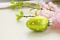 Cherry flowers with easter eggs Royalty Free Stock Photo