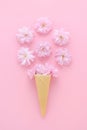 Cherry flowers in a ice cream waffle cone on pink background Royalty Free Stock Photo