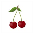 Cherry. Fresh berries isolated on white background, vector illustration in flat style Royalty Free Stock Photo