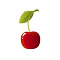 Cherry. Fresh berry vector isolated on white background