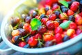 Cherry. Fresh ripe cherries closeup. Organic berries background. Gardening