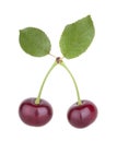 Cherry fruit