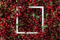 Cherry fruit background and frame. Flat lay. Royalty Free Stock Photo