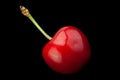 Cherry fruit closeup Royalty Free Stock Photo