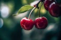 Cherry fruit closeup. Generative AI