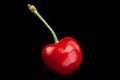 Cherry fruit closeup Royalty Free Stock Photo