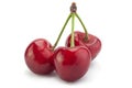 Cherry fruit closeup Royalty Free Stock Photo