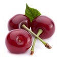 Cherry fruit closeup Royalty Free Stock Photo