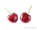 Cherry fruit hand drawn watercolor illustration isolated on white background Royalty Free Stock Photo