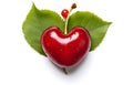 cherry fruit heart shape with leaves isolated on white background top view Royalty Free Stock Photo