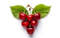 cherry fruit heart shape with leaves isolated on white background top view Royalty Free Stock Photo