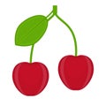 Cherry fruit icon isolated