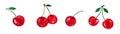 Cherry fruit set isolated on white, hand drawn watercolor illustration with cherry fruit design, fruit or food icon Royalty Free Stock Photo