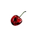 Cherry fruit watercolor hand drawn illustration  on white background. Ripe berry. Royalty Free Stock Photo