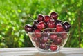Cherry fruits Royalty Free Stock Photo