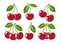 Cherry fruits icon graphics set