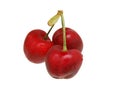 Cherry fruits on white background