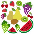 Cherry, grapes, kiwi, watermelon, merry, pear and strawberry. Berries and fruits. Hand drawn doodle vector sketch. Sweet food