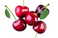 cherry Royalty Free Stock Photo