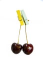 Cherry hanging on a clothespin on a rope Royalty Free Stock Photo