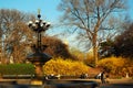Cherry Hill, Central Park