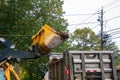 Front end loader heavy duty truck approaches dump truck to unload its load of brown leaves