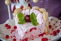 Cherry ice cream cake Royalty Free Stock Photo
