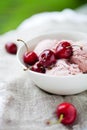 Cherry ice cream Royalty Free Stock Photo