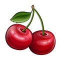 Cherry icon isolated on white background Royalty Free Stock Photo