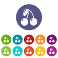Cherry icons set vector color Royalty Free Stock Photo