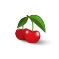 Cherry illustration, fresh cherries isolated on white background Royalty Free Stock Photo