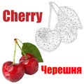 Cherry