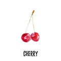 Cherry illustration. Hand drawn watercolor on white background.