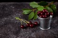 Cherry in an iron bucket, green leaves on a branch on a dark table. Still life in a low key