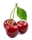 Cherry isolated. A bunch of sweet cherries with a leaf on a white background. Fresh fruits. Royalty Free Stock Photo