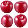 Cherry isolated. Collection on white background. Royalty Free Stock Photo