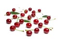 Cherry isolated. Sour cherry. Cherries with leaves on white background. Sour cherries on white Royalty Free Stock Photo