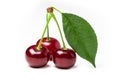 Cherry isolated. Sour cherry. Cherries with leaves on white background. Sour cherries on white Royalty Free Stock Photo