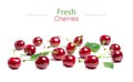 Cherry isolated. Sour cherry. Cherries with leaves on white background. Sour cherries on white Royalty Free Stock Photo