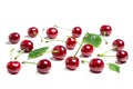 Cherry isolated. Sour cherry. Cherries with leaves on white background. Sour cherries on white Royalty Free Stock Photo