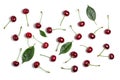 Cherry isolated. Sour cherry. Cherries with leaves on white background. Sour cherries on white Top view Royalty Free Stock Photo