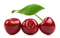 Cherry isolated. Three sweet cherries with a leaf on a white background. Fresh fruit berries. Royalty Free Stock Photo