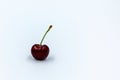 A cherry isolated on a white background Royalty Free Stock Photo