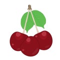 Cherry isolated on white background. Cherry fruit and leaf. Simple cartoon flat style organic fruit Royalty Free Stock Photo