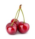 Cherry isolated on white background Royalty Free Stock Photo