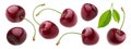 Cherry isolated on white background with clipping path, fresh cherries with stems and leaves Royalty Free Stock Photo