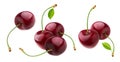 Cherry isolated on white background with clipping path Royalty Free Stock Photo