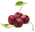 Cherry isolated on white background with clipping path Royalty Free Stock Photo