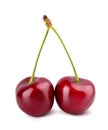 Cherry isolated on white background Royalty Free Stock Photo